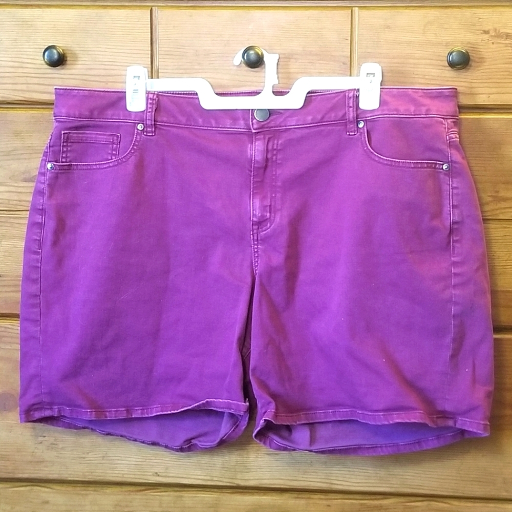 22 Lane Bryant Shorts
